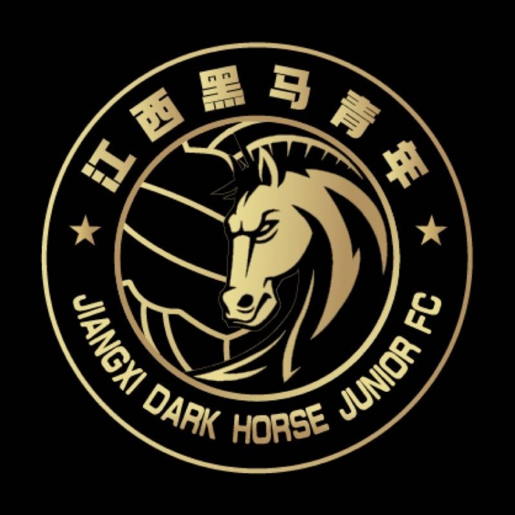  官方：江西黑馬青年完成異地遷移程序，更名為溫州職業(yè)足球俱樂部